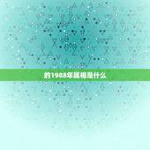 的1988年属相是什么，1988年是什么生肖？
