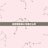 属相婚配表63年属什么的，1963年的属相与1973的属相相配
