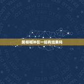 属相相冲在一起有结果吗，属相相冲的人在一起是不是会影响运势啊？