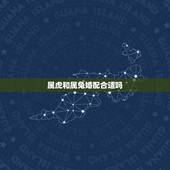 属虎和属兔婚配合适吗，属虎和属兔的相配吗？