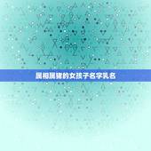 属相属猪的女孩子名字乳名，女孩小名大全