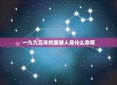 一九九五年的属猪人是什么命呢，一九九五年出生是什么命