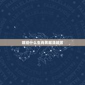 嫁给什么生肖男越活越苦，鼠和什么生肖相合