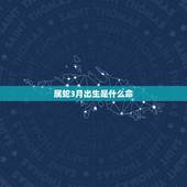 属蛇3月出生是什么命，1965年属蛇人55岁发生