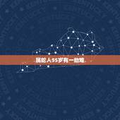 属蛇人55岁有一劫难，我是女的现在我55岁想和一个男的属蛇的55岁搞对