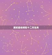 属蛇最佳婚配十二月生肖，男属蛇十二月出生和什么属相可以婚配