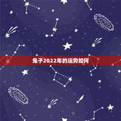 兔子2022年的运势如何，十二生肖运势