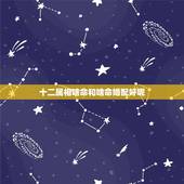 十二属相啥命和啥命婚配好呢，1982年属狗的男生和什么属相最配