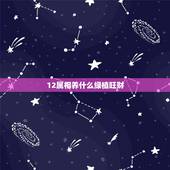 12属相养什么绿植旺财，十二生肖养什么花旺财 一盆花竟然可以改变财运风