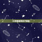 95年属猪男孩子姻缘，95年猪男的婚姻怎么样