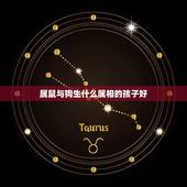 属鼠与狗生什么属相的孩子好，1990年属马的人和1992年属猴的人在一