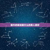 属牛的嫁给属什么的男人更好，属牛男忌讳什么
