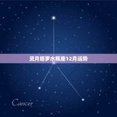 灵月塔罗水瓶座12月运势