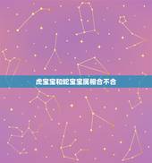 虎宝宝和蛇宝宝属相合不合，和属虎的和属蛇的不合有什么解的办法