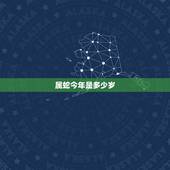 属蛇今年是多少岁，属蛇女命里几个孩子