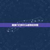 商铺门口种什么植物旺财图，店铺门口摆放什植物旺财？