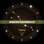 我是属虎的今年的婚姻怎么样，属虎的今年婚姻怎么样？
