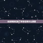 试纸两条杠除了怀孕还有什么原因，试纸上有两道红线除了怀孕有其他可能吗