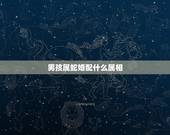 男孩属蛇婚配什么属相，男生属蛇与什么属相配