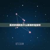 属虎的妈妈生什么属相的宝宝好，父母属虎，刚生了个虎宝宝，再要个龙宝宝好