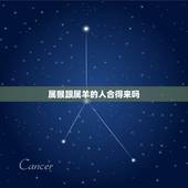 属猴跟属羊的人合得来吗，属猴人与属羊人婚姻搭配怎样？