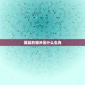 属鼠的相冲是什么生肖，鼠和什么属相不合