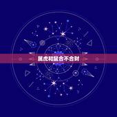 属虎和鼠合不合财，兔和鼠合不合