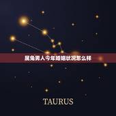 属兔男人今年婚姻状况怎么样，女属兔男属龙婚姻状况