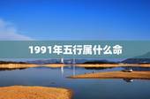 1991年五行属什么命，1991年的是什么命啊