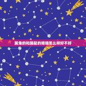 属兔的和属鼠的婚姻怎么样好不好，属兔的和属兔的婚姻怎么样
