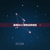 属狗2022感情运势如何，1994年属狗2022年运势如何？