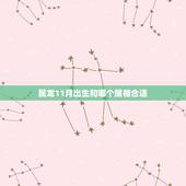 属龙11月出生和哪个属相合适，属龙的今年多大，属龙的几月出生最好，属龙