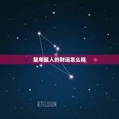 鼠年鼠人的财运怎么样，2022 属鼠男婚姻怎么样