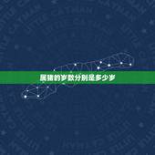 属猪的岁数分别是多少岁，属猪今年多大年纪