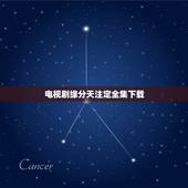 电视剧缘分天注定全集下载，谁有的有效下载地址 bt或迅