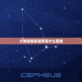 大地回春发绿芽是什么属相，枯木逢春发绿芽，大有可为跑前锋，是什么生肖