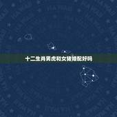 十二生肖男虎和女猪婚配好吗，男属虎要和什么生肖的女生婚姻配最好