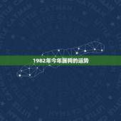 1982年今年属狗的运势，1982年正月属狗的人在今年运势