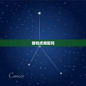 猪和虎相配吗，请问八三年的男，属猪和八六年的女，属虎相配吗