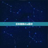 日本相亲dna配对，不懂娱乐DNA是啥的你，相亲的时候小心被退货哦