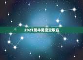 2021属牛男宝宝取名，2021年男宝宝起名字大全寓意好
