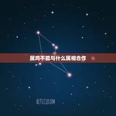 属鸡不能与什么属相合作，属鸡的和什么属相最不配