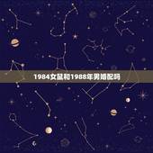 1984女鼠和1988年男婚配吗，我是88年属龙女和84年属鼠的男合适