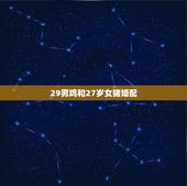 29男鸡和27岁女猪婚配，属相婚配:男属鸡和女属猪相配吗