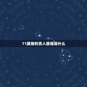 71属猪的贵人属相是什么，属猪的是属蛇的贵人吗？