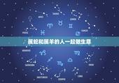 属蛇和属羊的人一起做生意，属蛇人最旺的贵人是什么生肖
