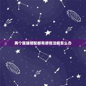 两个属猪婚配都有感情洁癖怎么办，属猪的年龄表
