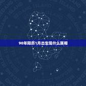 90年阳历1月出生是什么属相，1990年1月1日的阳历属什么？