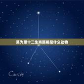 莫为恩十二生肖属相是什么动物，请问“十二生肖”为什么是这十二种动物？