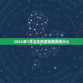 2022年1月出生的宝宝属相是什么，2021年1月份出生的宝宝是什么属
